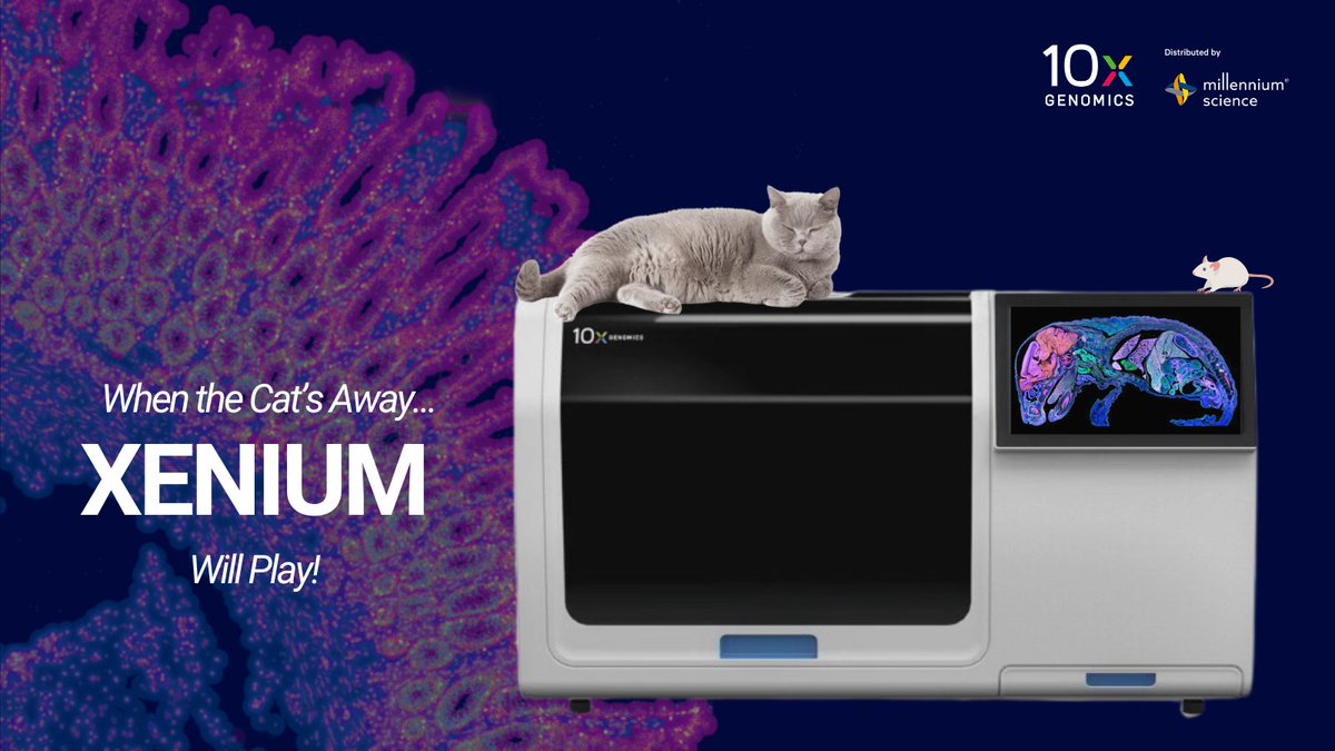 It's not fishy, it's PURRFECT! 4 out of 5 cats would buy Xenium* by @10xGenomics. *the 5th cat already bought one. Meow! #XeniumInSitu #spatialbiology #spatialtranscriptomics