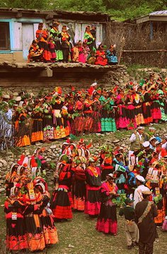 چترال،وادی کالاش میں چلم جوشی میلا سج گیا یہ تہوار 14 سے 17 مئی تک وادی کالاش، بمبوریت، رمبر اور بریر میں بڑے دھوم دھام سے منایا جا رہا ہے۔ 
#Chitral