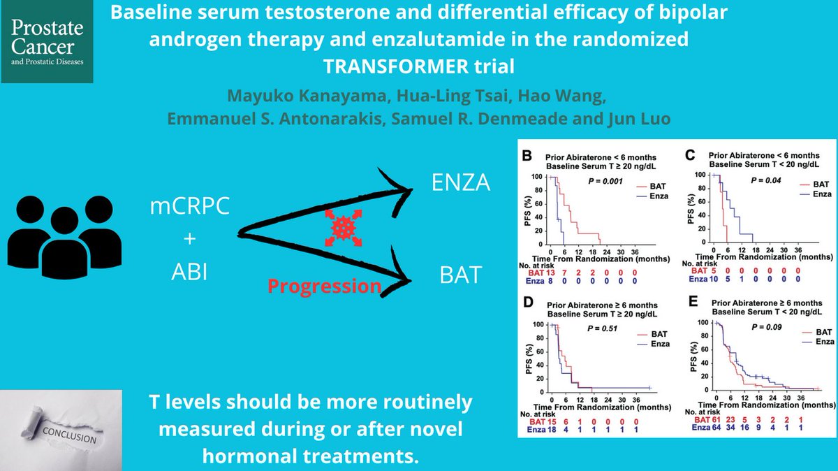 📢 New findings in prostate cancer research! 🎗️ Baseline serum testosterone levels may guide the choice between bipolar androgen therapy (BAT) and enzalutamide for mCRPC patients. 🧬 Patients with high T levels might benefit more from BAT! 📊 #pcsm 
rdcu.be/dIb1L