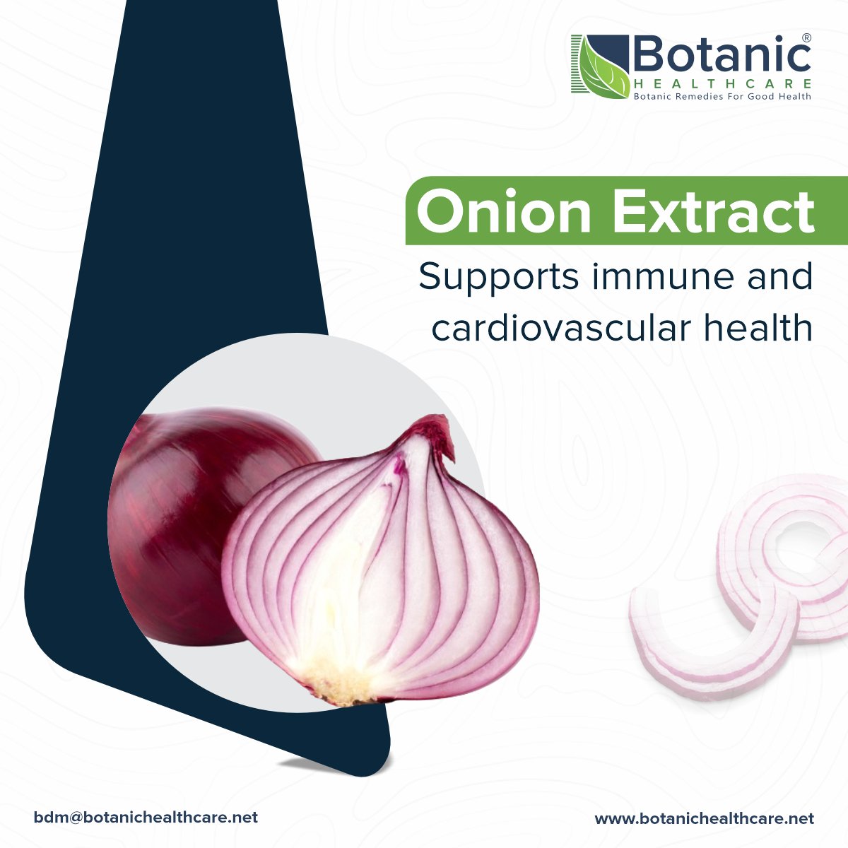 Onion extract contain powerful antioxidants and essential nutrients that can do wonders to the immune system and cardiovascular health. 

Get in touch with us: bdm@botanichealthcare.net

#Botanichealthcare #herbalextracts #herbalmanufacturer #onionextract #onion #immunehealth