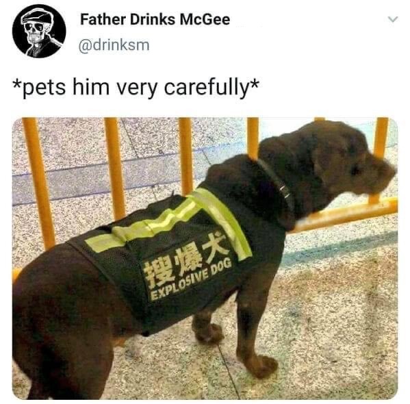 Giga Based Dad (@gigabaseddad) on Twitter photo 