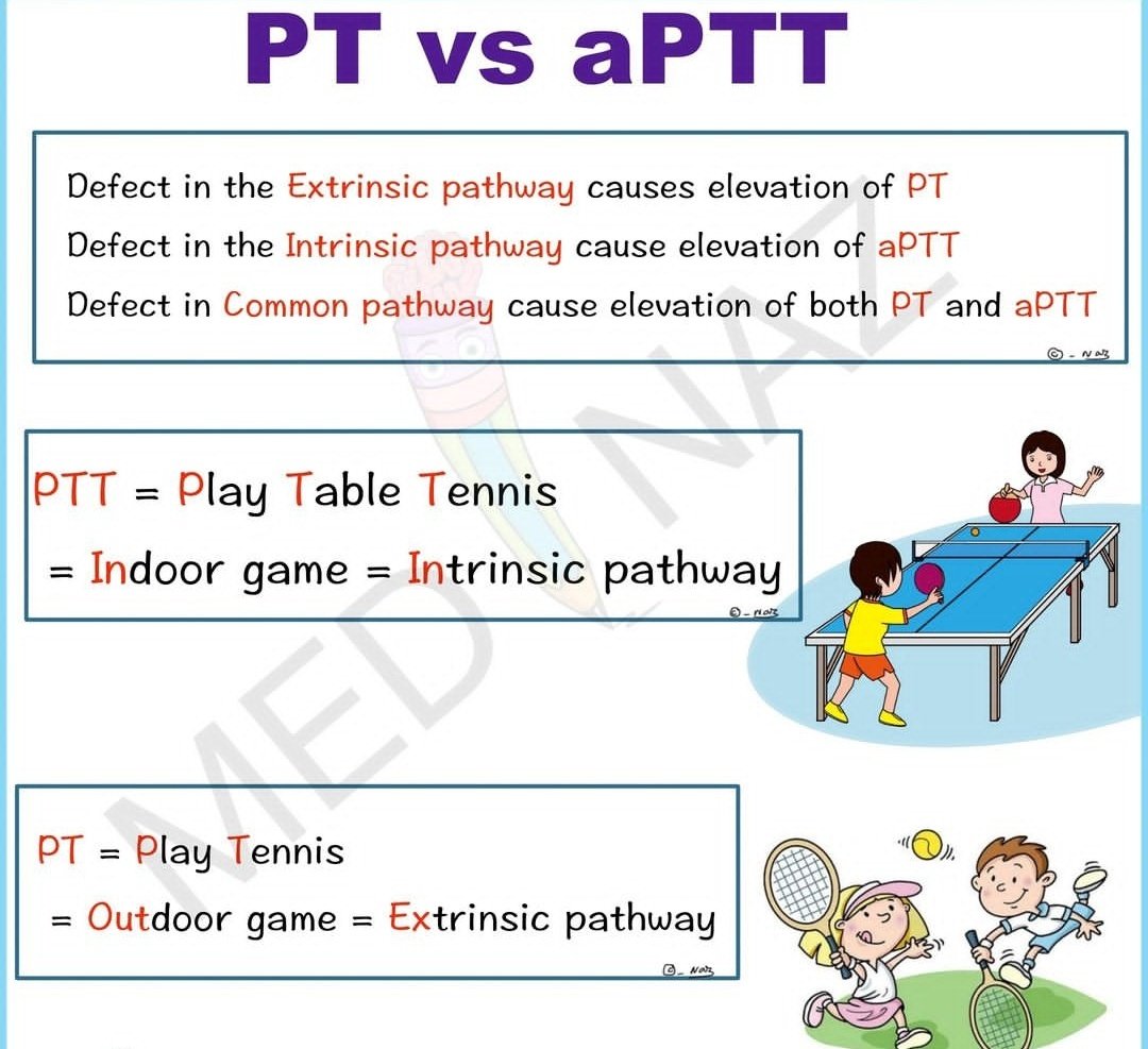 - 🔬 PT (Prothrombin Time) & INR: Measure extrinsic and common coagulation pathways.
- 🧪 aPTT (Activated Partial Thromboplastin Time): Measures intrinsic and common pathways.
- 📊 PT/INR: Monitors warfarin therapy.
- 📉 aPTT: Monitors heparin therapy.
- 🚨 High PT/INR or aPTT: