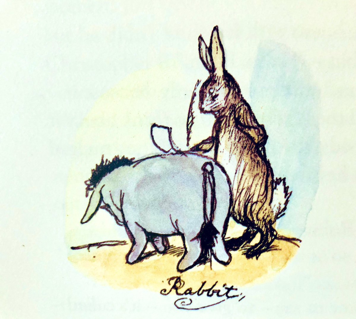 “Rabbit’s clever,” said Pooh thoughtfully. “Yes,” said Piglet, “Rabbit’s clever.” “And he has Brain.” “Yes,” said Piglet, “Rabbit has Brain.” There was a long silence. “I suppose,” said Pooh, “that that’s why he never understands anything.” ~A.A.Milne #fridayfeeling #wisdom