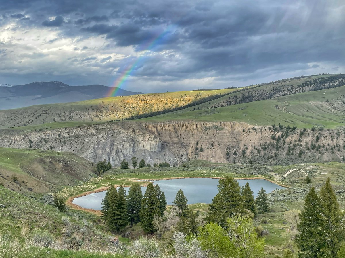 A moment of bliss while leaving Yellowstone National Park this evening.