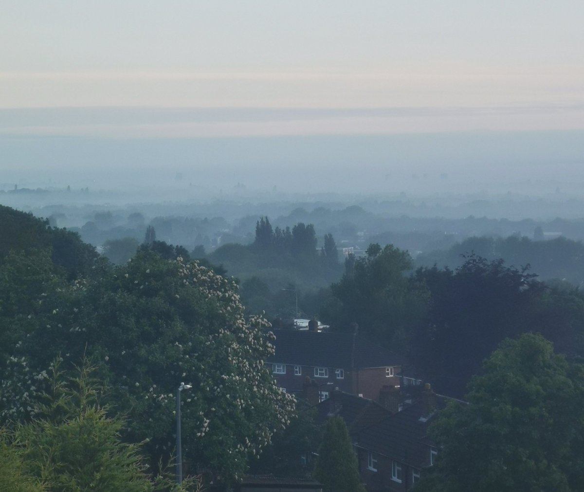 Early morning start for day shift & the mist highlights just how many trees we have even in our urban area #TreeClub