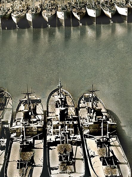 Tensaw Ghost Fleet 📷 1950 #Tensaw #Alabama Liberty Ships and other ships by @USNavy 🇺🇸 after #WW2