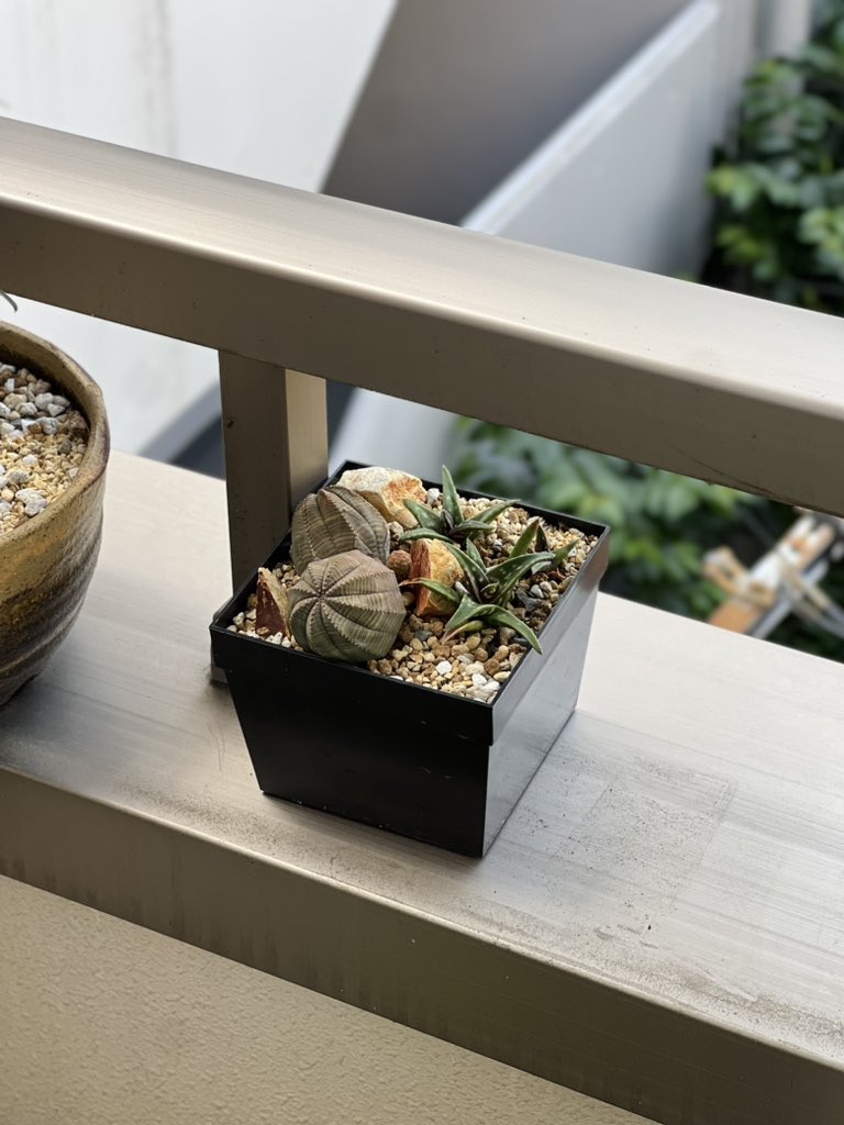 boolean_iwata's tweet image. 