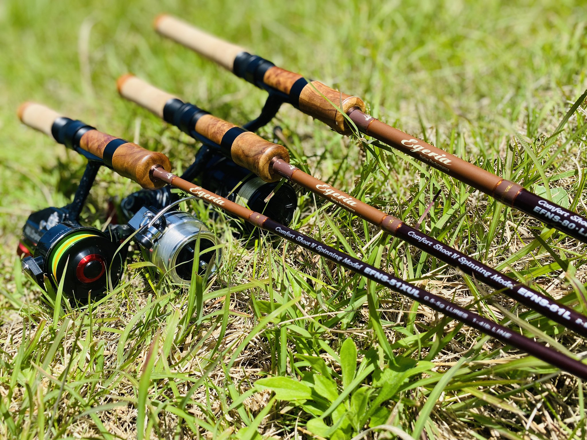 パームス エゲリア ネイティブ EFNS-74M 2ピース スピニングロッド