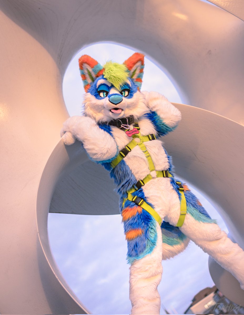 How have you all been doing lately? 👀 #Furrsuitfriday

📷 <a href="/Tokhiya/">Tokhiya</a>
📍 @nordicfuzzcon