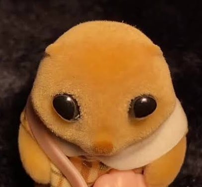 Yo stalkeando a mi esposa a las 2 am extrañándola machin 😭