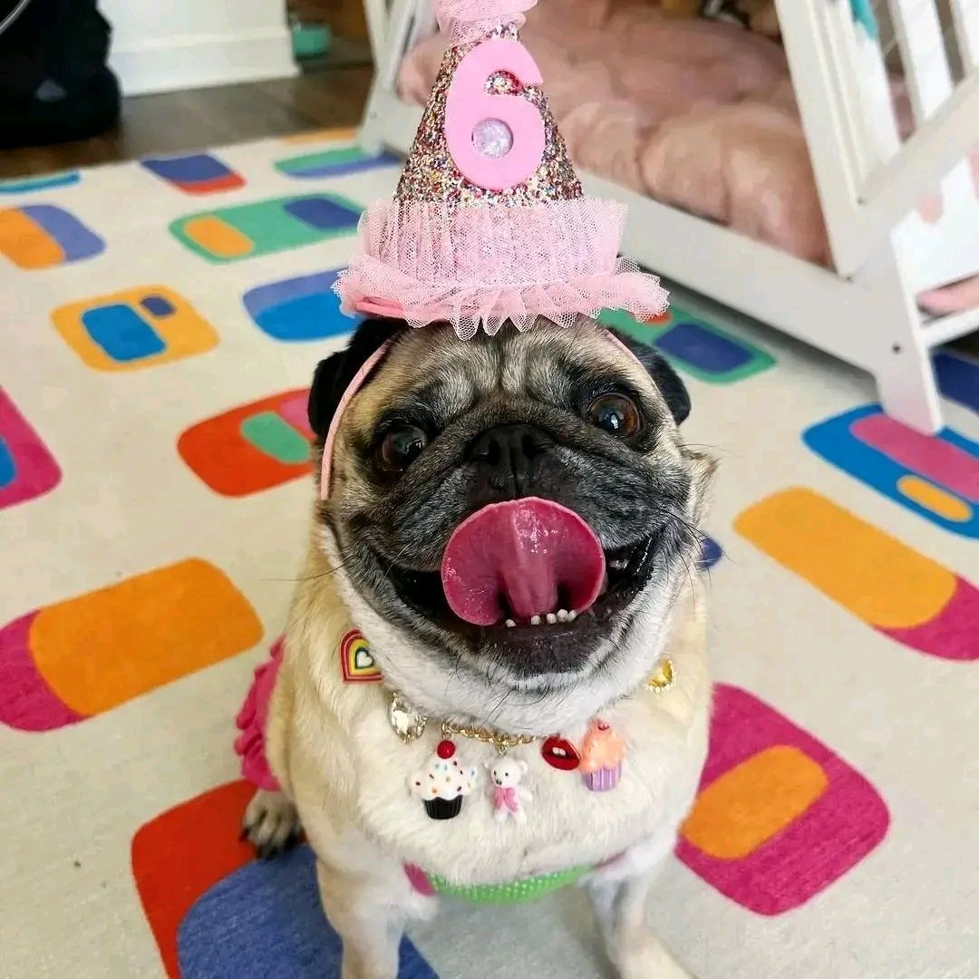 The love of a dog is a symbol of heavenly happiness.