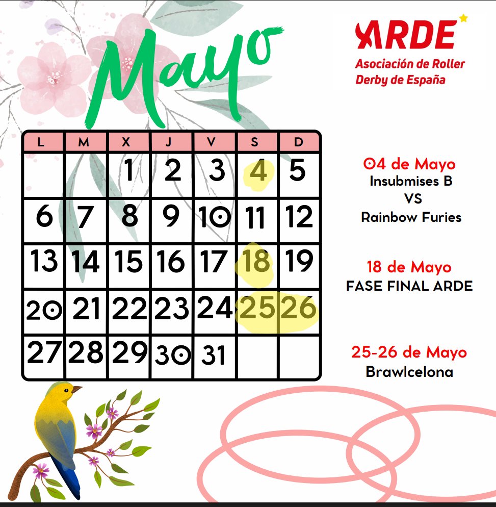 🌸💮🏵️ Partidos Mayo 2024 📝
