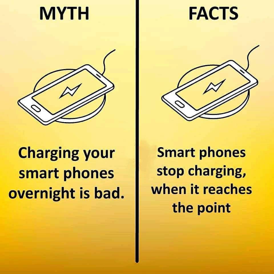 Myth vs Fact (@MythvvsFact) on Twitter photo 2024-05-17 05:12:57