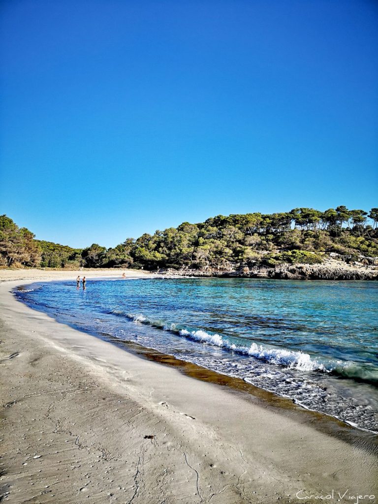 🌴5 playas paradisiacas para visitar este verano en #España. ¿Cuál te falta por conocer? 🏖️ caracolviajero.com.es/blog/playas-en…