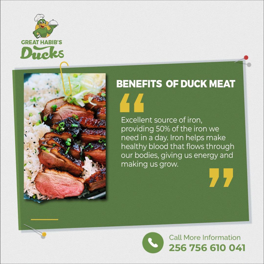 #DYK : Duck meat is rich in Iron ? #GHDucks