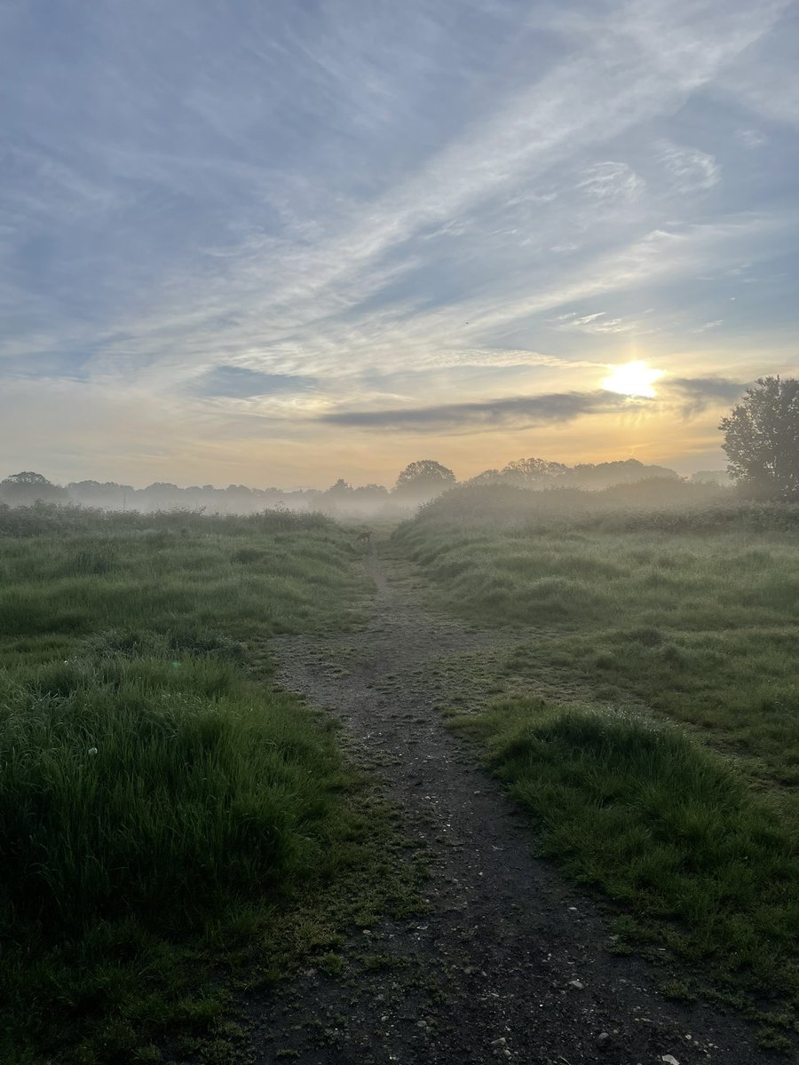 #leytonstone Hollow Ponds looking haunting