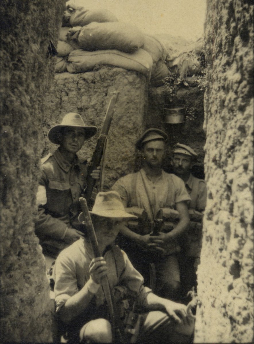 Teachers and educators, join State Library staff, in a free professional development webinar: The Gallipoli campaign, Tuesday 21 May, 5-6pm. Book now! ow.ly/8pfL50RJjpn 📷99183994970402061. #curriculumconnect