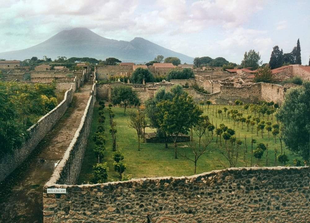 The Pompeii Gardens, preserved by the eruption of Vesuvius in 79 AD, offer a unique glimpse into ancient Roman garden design, despite the destruction caused by the eruption and later by the 1942 bombing. Pompeii, originally a Greek and then a Samnite city before Roman