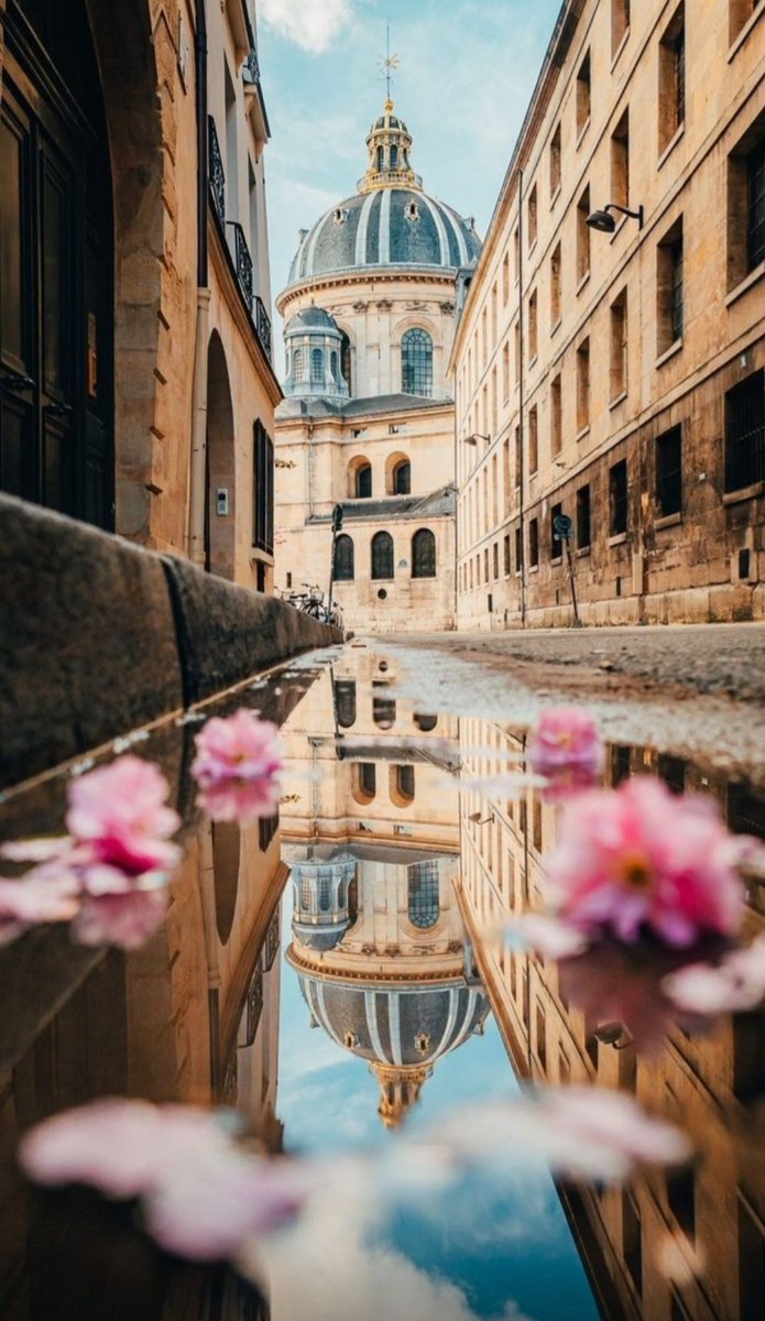 Domeniq53463818's tweet image. Reflection
#ReflectionAI #Flowery #photoart