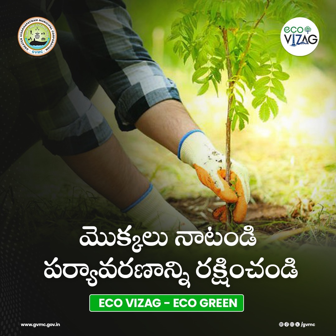 Lets join the eco green movement and plant trees to nurture our planet and safeguard our future. By planting more trees to our world, we're not only providing shelter but also improving air quality and enhancing biodiversity. Let's make our planet happier and healthier, one tree