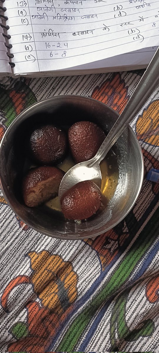 Homemade Gulabjamun  😋