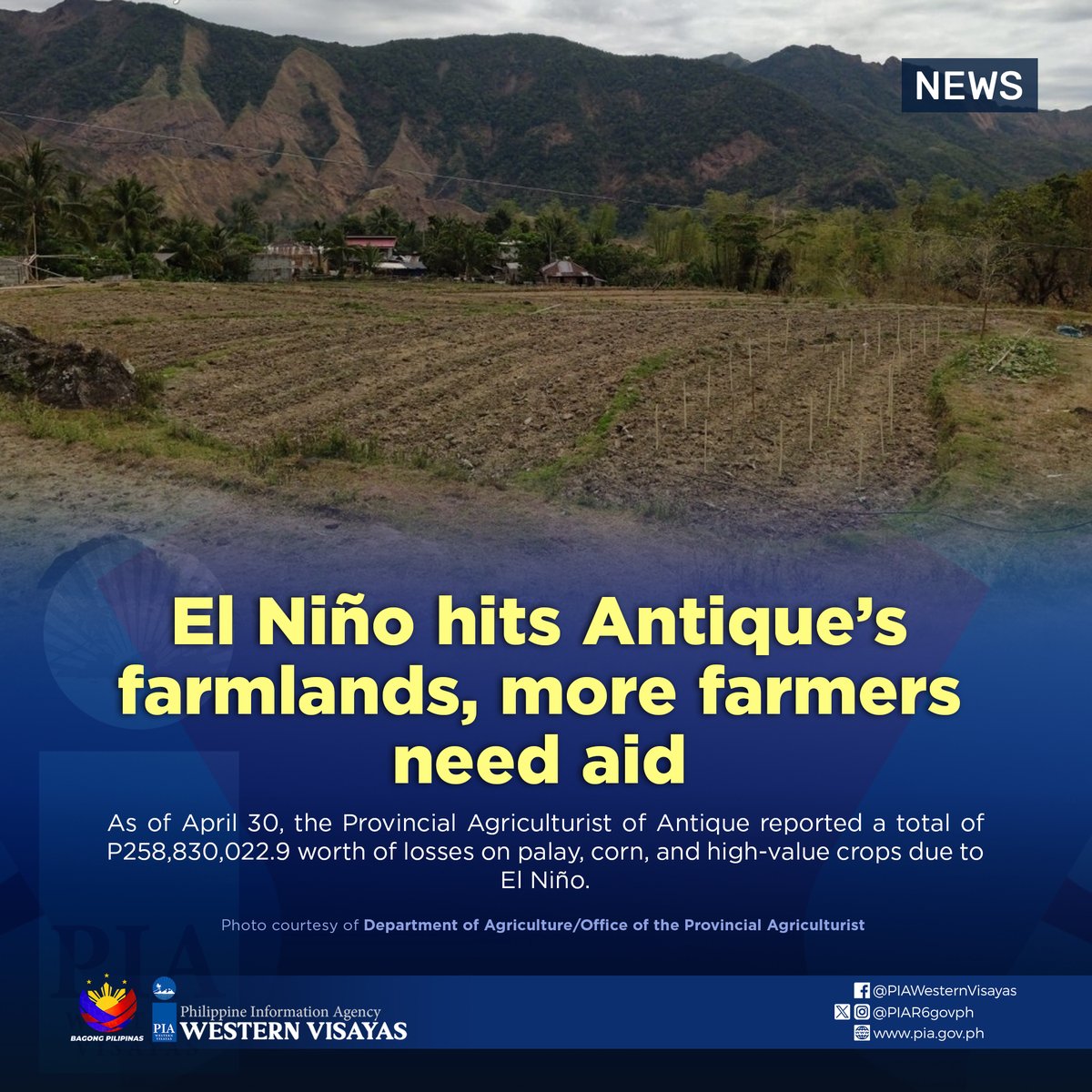 With the declaration of the Province of Antique under a state of calamity due to the effects of the El Niño phenomenon, farm losses have increased with more farmers needing assistance.

More details: pia.gov.ph/news/2024/05/1…

#BagongPilipinas
#PIAWesternVisayas
#GetInformed