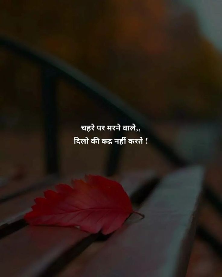 हर लम्हा चेहरे पे #चेहरा लगाये फिरते हो

थक गये हो या अब भी ये तिजारत करते हो🍃

#सहर ।#बज़्म #शायरांश