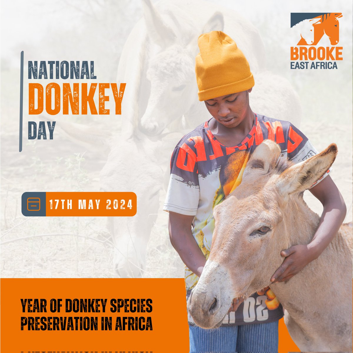 Speak For Donkeys: Donkeys' contributions to transport and agriculture make them essential to many livelihoods in East Africa. #NationalDonkeyDay @TheBrookeEA @TheBrooke @moh_kenya @kilimoke @interiorke