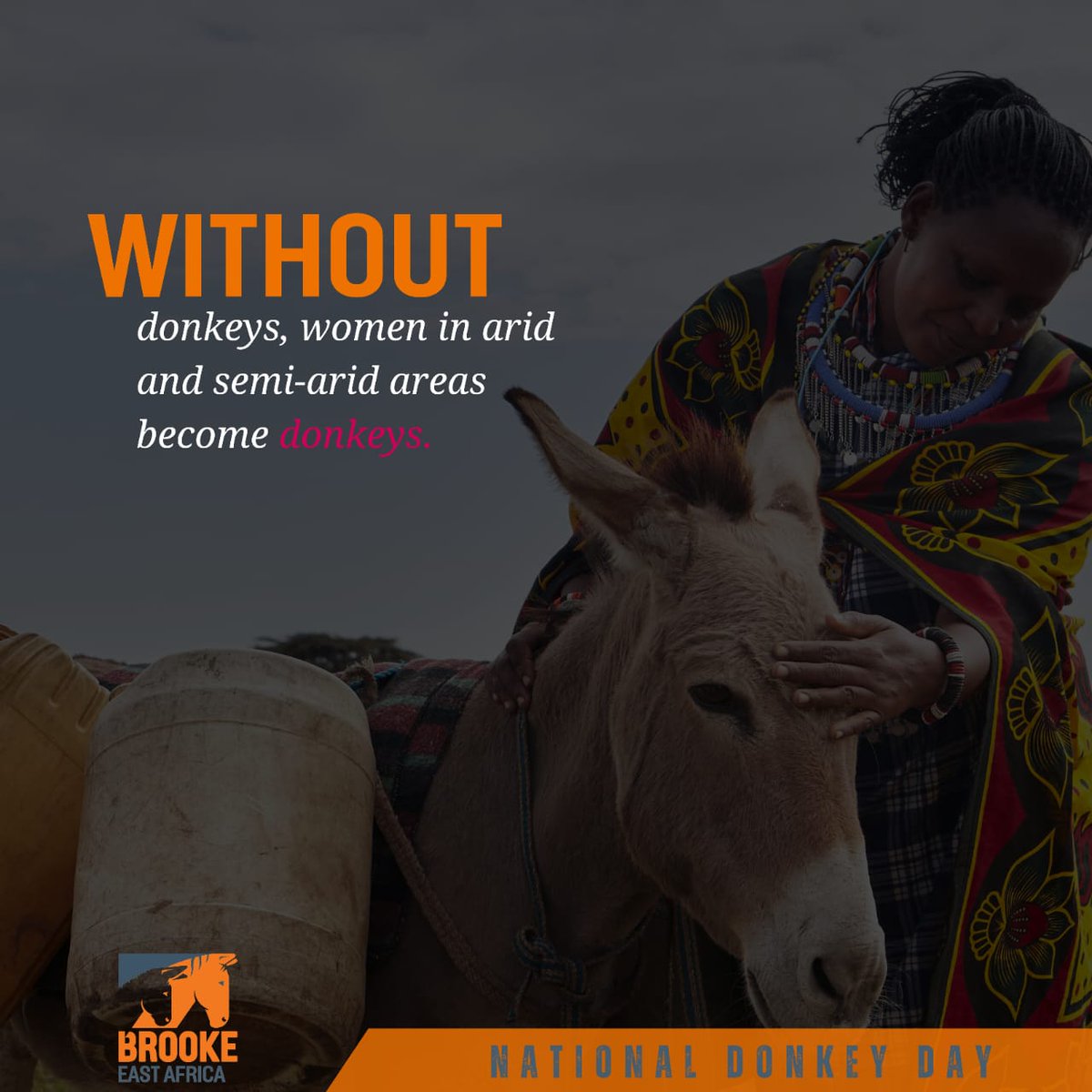 Throughout various cultures and religions, donkeys have symbolized patience, resilience, and humility. Let's embody these virtues as we pay tribute to these extraordinary animals today. #NationalDonkeyDay Speak For Donkeys @TheBrookeEA @TheBrooke @moh_kenya @kilimoke @interiork