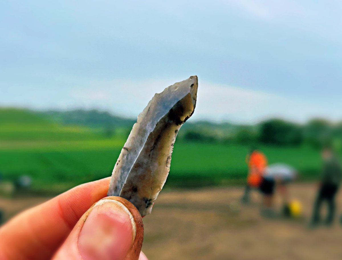 We found this long, slender flint blade - snapped and so once longer still - on a ridge overlooking the long-lost lake of Skipsea Bail Mere. It is early - Early Mesolithic, perhaps earlier - and a hunter-gatherer life is folded into it. #Skipsea2024 #FlintFriday #FindsFriday