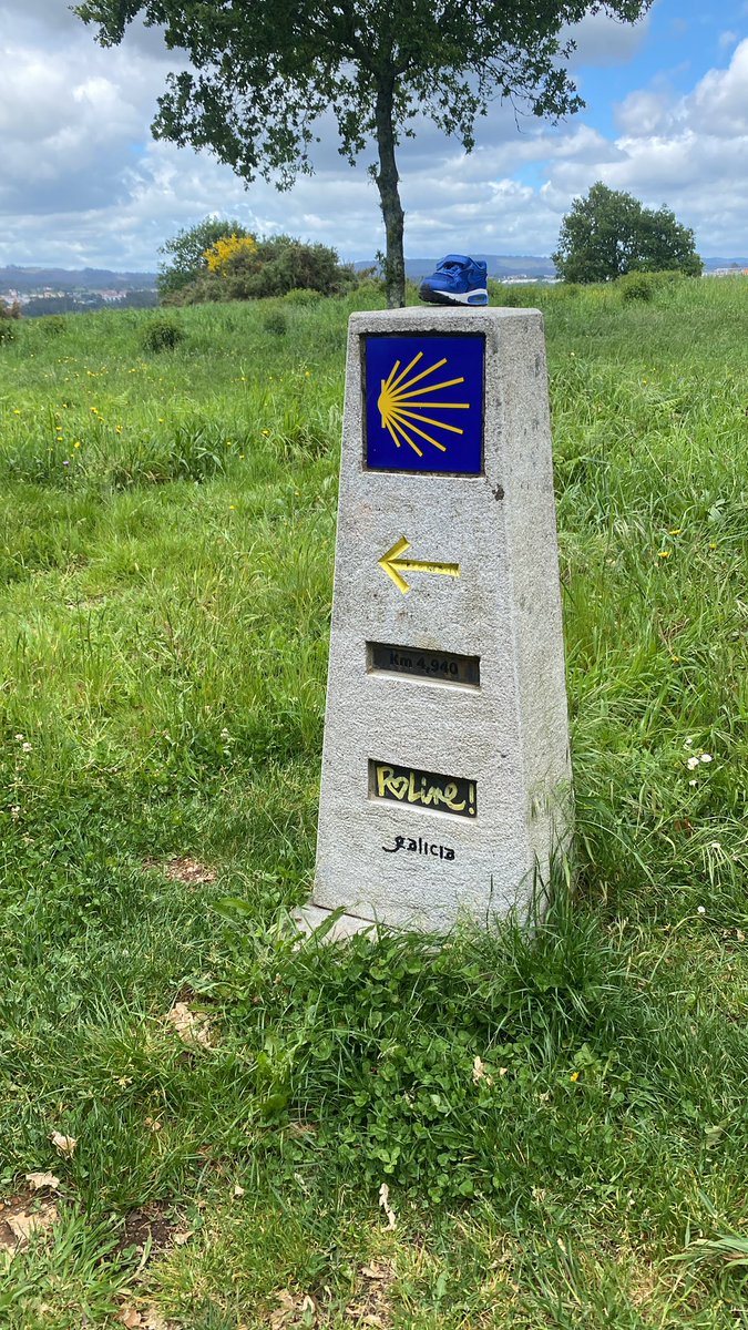 “Únete. Cada paso cuenta” Un gran motivo para caminar, convocado por @SOG_Galicia el próx 7 junio. Desde el Monte do Gozo, recorreremos los últimos 5 kms del #CaminodeSantiago. Ejercicio frente al cáncer 🦶💪 Info/inscripciones: congresos@oceano-azul.es #OncologíaGalicia