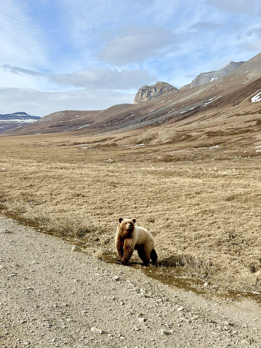 Kate Hale tweet media