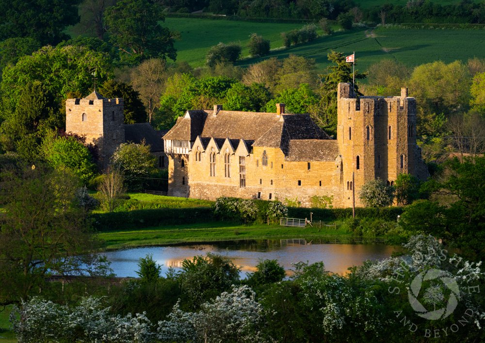 Stokesay Castle glowing in the evening sun. I wanted the medieval walls to stand out in the landscape, so I waited an hour for clouds to throw the surrounding fields into shadow. As I stood there I could hear church bells, birdsong and the distant bleating of sheep. #Shropshire