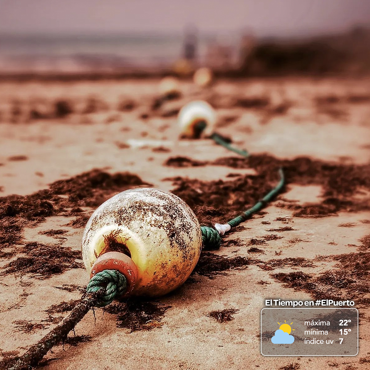 #ElTiempo 🌥 Hoy viernes, cielos muy nublados e que irán despejando durante el día. Temperaturas en descenso con máximas de 22º y mínimas de 15º. El viento sopla suave de poniente (15-20km/h) y el índice UV es 7 (alto). Fuente: @AEMET_Esp Imagen: instagram.com/p/CfkPKinMs7U/