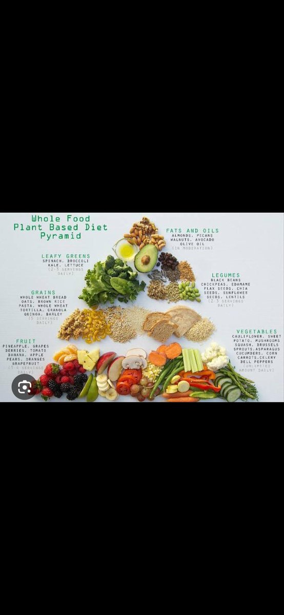 ADVANTAGES OF WHOLE  PLANT FOODS
Both cholesterol and saturated fats clog the arteries. All meat and meat  products produce both cholesterol and saturated fats. 
Plant foods contain fibre which rather removes cholesterol from the system. No animal product or meat contains fibre,