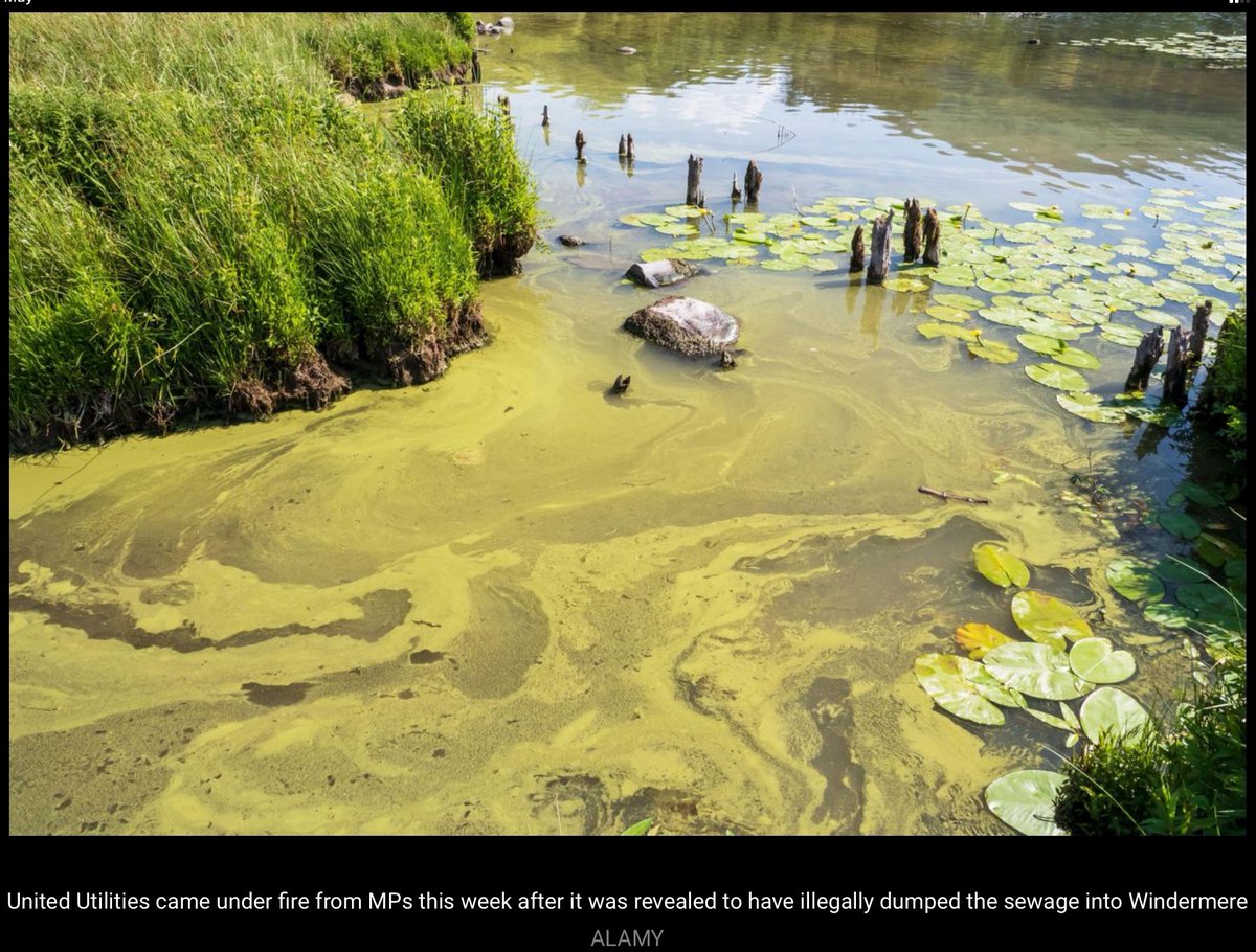 Paul Lewis tweet media