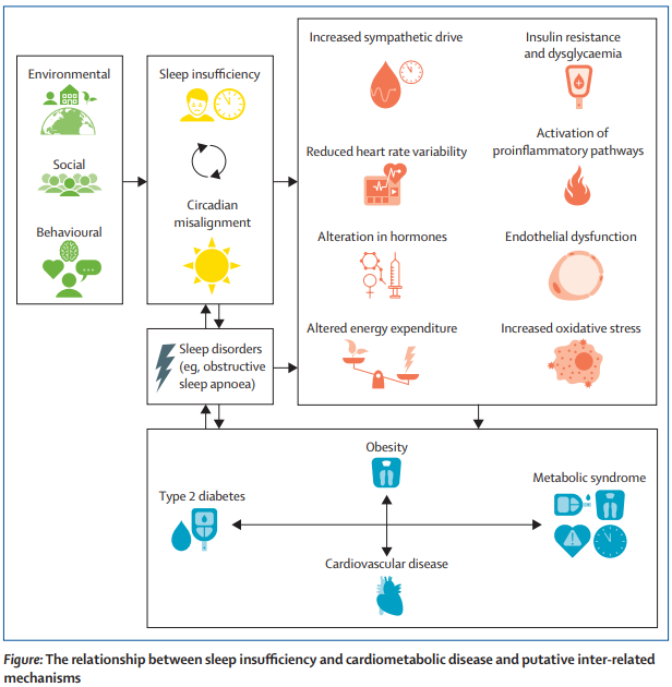 #Sleep and #cardiometabolic health—not so strange bedfellows thelancet.com/journals/landi…  
#T2D #obesity #CVD