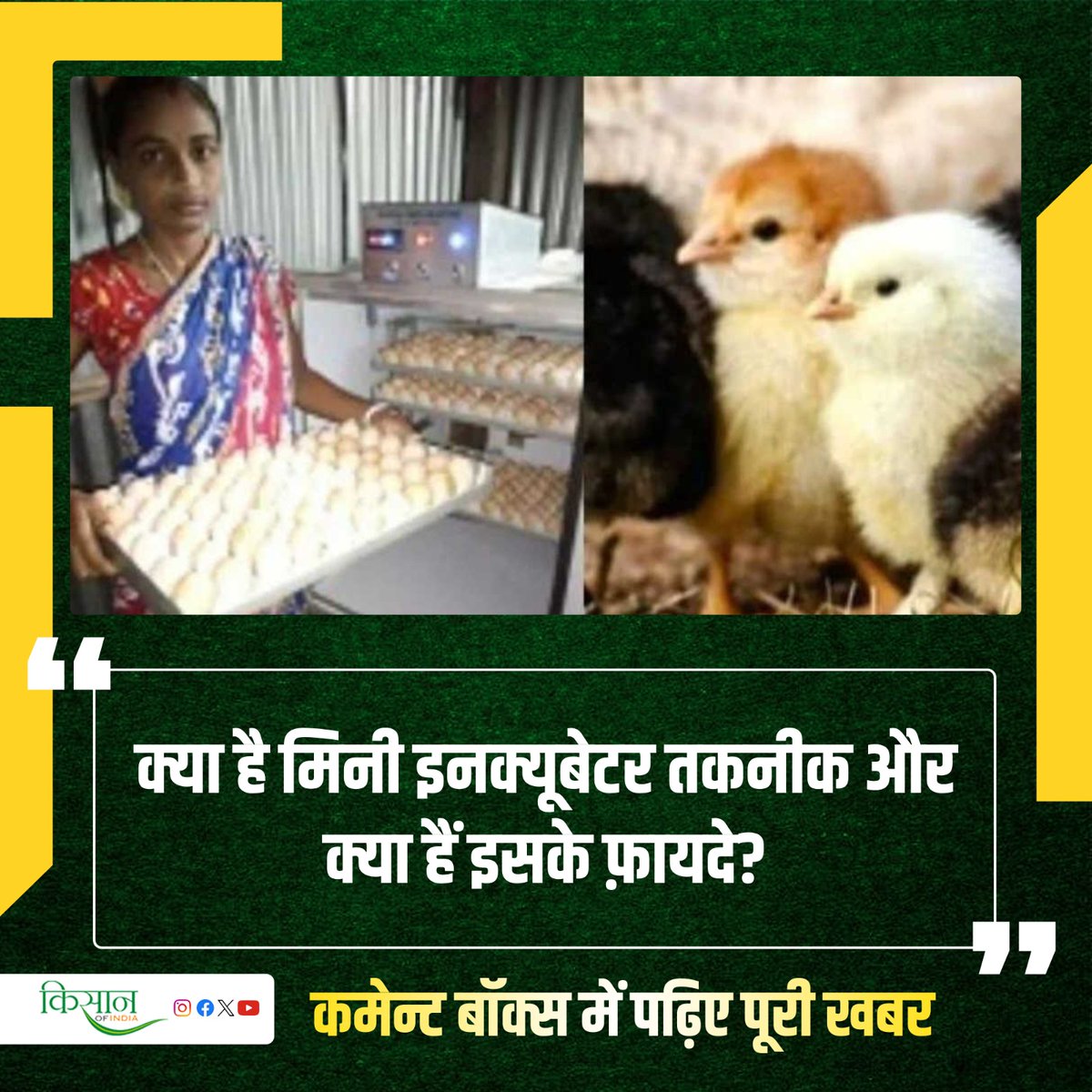 क्या आप मुर्गी पालन व्यवसाय कर रहे हैं? तो मिनी इनक्यूबेटर तकनीक से आपके व्यवसाय को मिल सकती है रफ़्तार
#PoultryFarming #KisanOfIndia #Agriculture #Farming #MiniIncubator #AndamanNicobar #PoultryBusiness