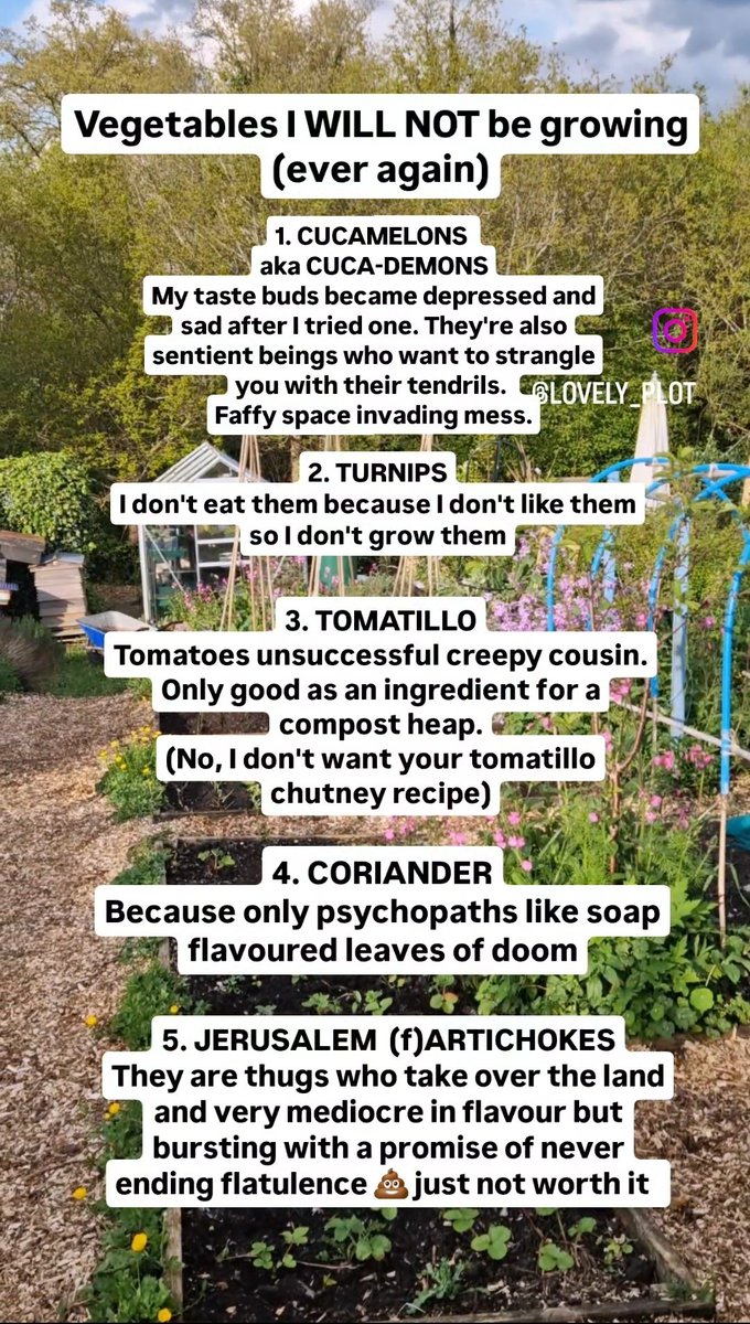 None of the below is up for a debate✋️ The appeals office is closed, and my decision is final🔨😂 I'd add Swiss Chard there but I do grow it as an ornamental because to eat, it tastes like earth & sadly I'm not a worm so I don't like it 🪱 What veg is not welcome on your plot?