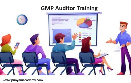 Check out our latest article here on GMP Auditor : articlecede.com/five-crucial-s… #gmp #gmpauditor #gmpauditortraining #onlinegmpauditortraining #gmpauditortrainingcourse #gmpauditortrainingcourse #onlinegmpauditortrainingcourse