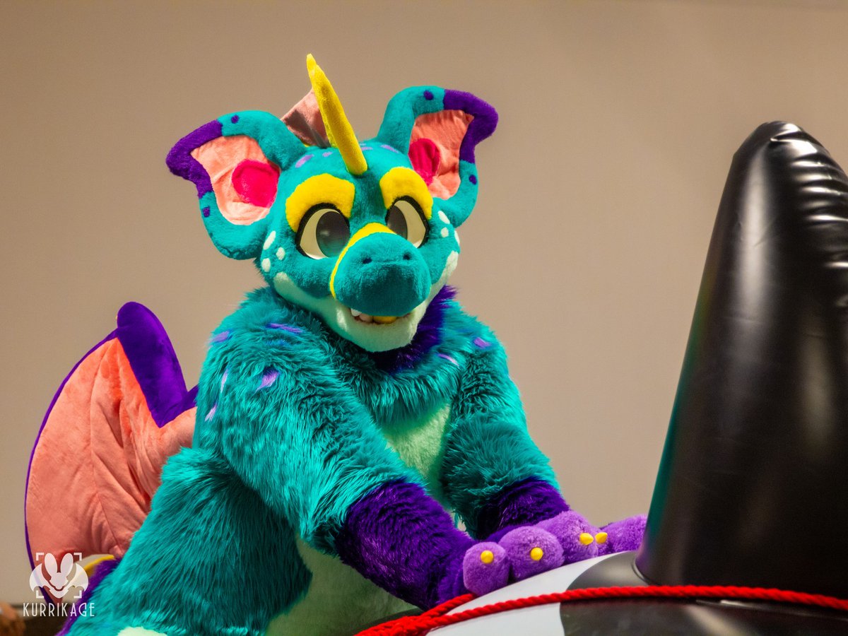 Just in time for #FursuitFriday, my photos from #FWA2024 are now live on @furtrack! furtrack.com/user/Kurrikage…