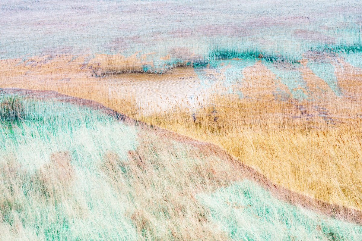 RuthieCollins's tweet image. Beautiful and thought provoking work by artists Rachel Burchell and Rachel Wright exploring the Cley landscape as habitat to the European eel and global connections to the Sargasso Sea #worldeelday @NWTCleyCentre @eelsuitcase #worldeelday24 #art #ecology