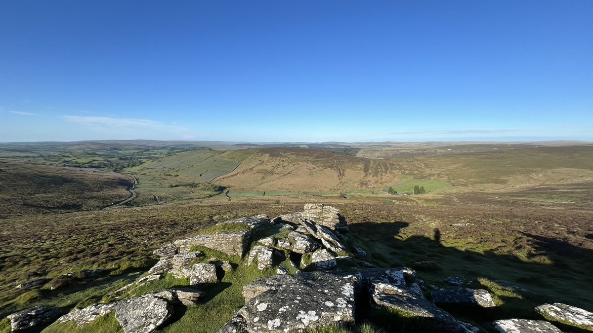 Spectacular Dartmoor morning. At Hookney Tor doing moorland bird survey. Enjoying really good numbers of Whinchat hereabouts.