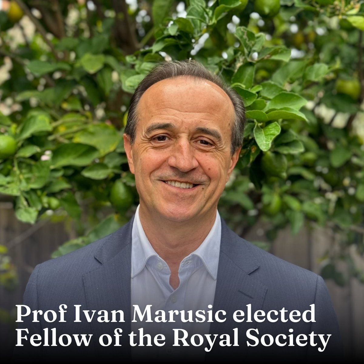 🏆 Pro Vice-Chancellor (Research Infrastructure) & Redmond Barry Distinguished Professor Ivan Marusic has been elected a Fellow of the @RoyalSociety for his outstanding contribution to research in fluid mechanics. Learn more → unimelb.me/4dJwd8H