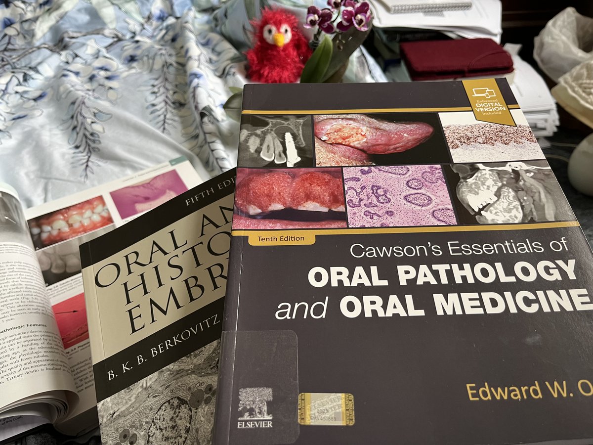 TheBDA's tweet photo. Good morning from #Birmingham! 

Are you on your way to the NEC for the #BDCDS24 @dentistryshowcs?

We got new oral medicine books for you. Visit the #BDAMuseum / #BDALibrary Stand – Q50 to learn how to borrow these books. https://t.co/XgD05v8LZe https://t.co/RDvVrw9q1u