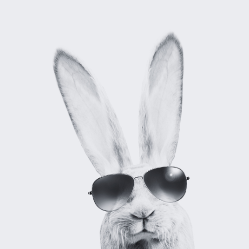 kjmckinnon's tweet image. Oh My What Big Ears You Have! Embrace the art of listening more and talking less in your career.
Listen actively, and you’ll find the secrets to success are often spoken in the silences between words. Who knew silence could speak so loudly?

#ListenMore #TalkLess #CareerAdvice