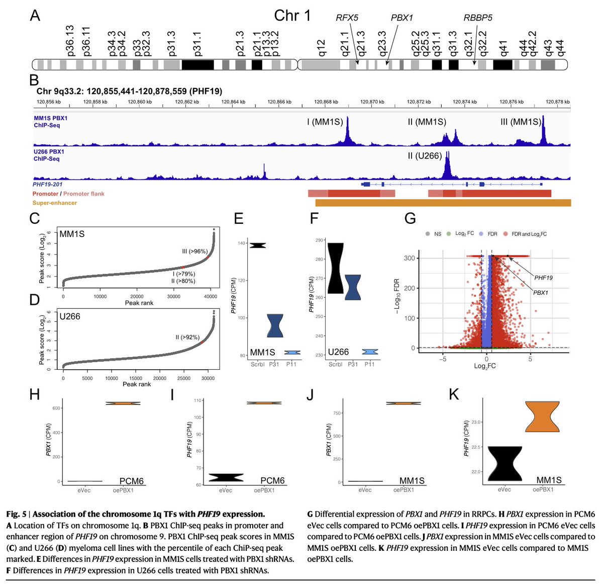 Robert Z. Orlowski tweet media