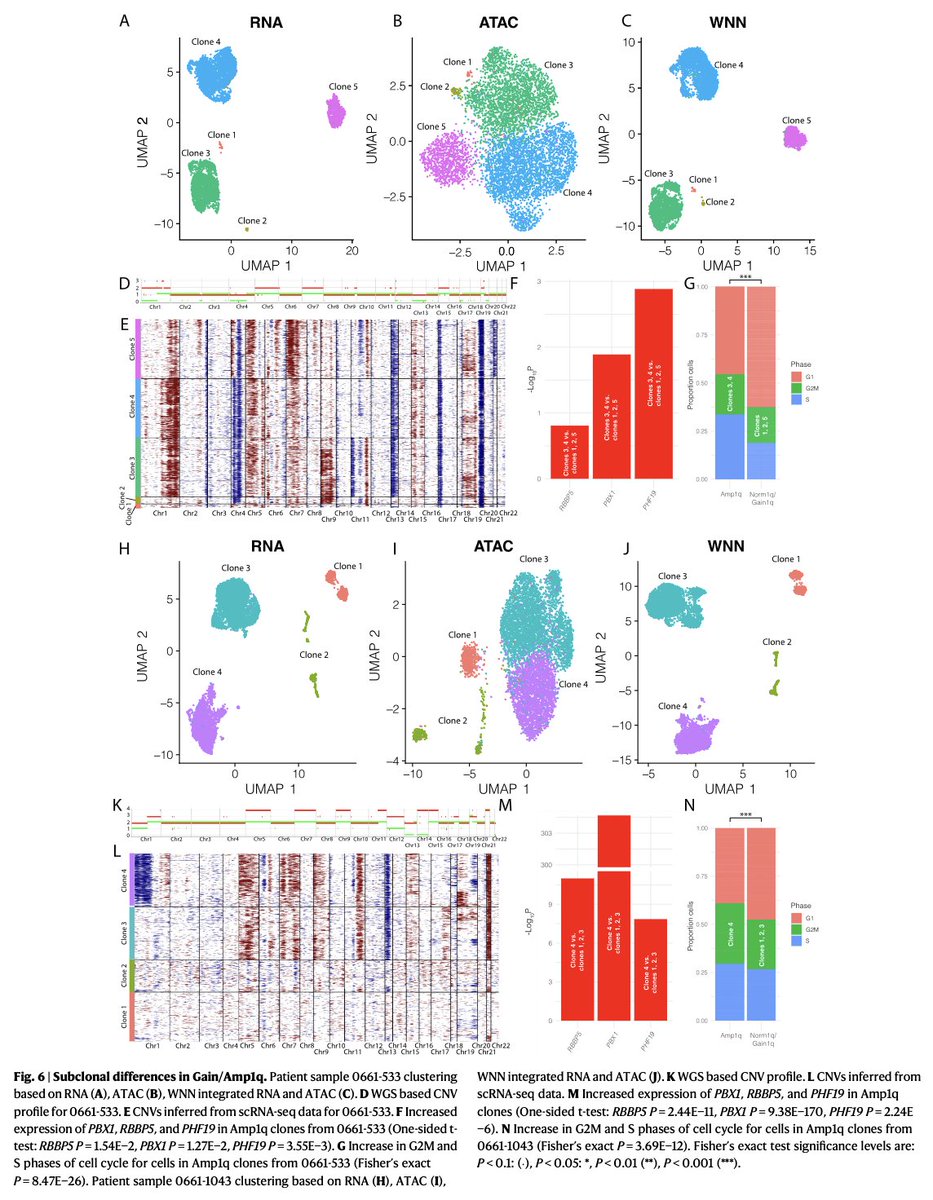 Robert Z. Orlowski tweet media