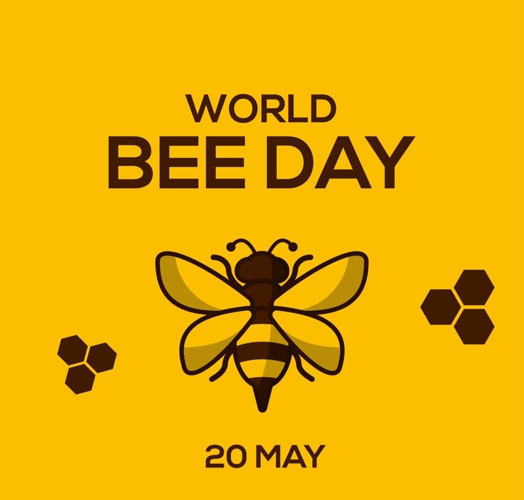 On Monday in the nursery, we will be celebrating BEE day! Children can come to school wearing something yellow. We would also like to invite parents to join us for crafts and fun at 11 am. Thank you for your continued support! @DeltaStrand💛 Mrs Probert & Mrs Wright🐝🐝