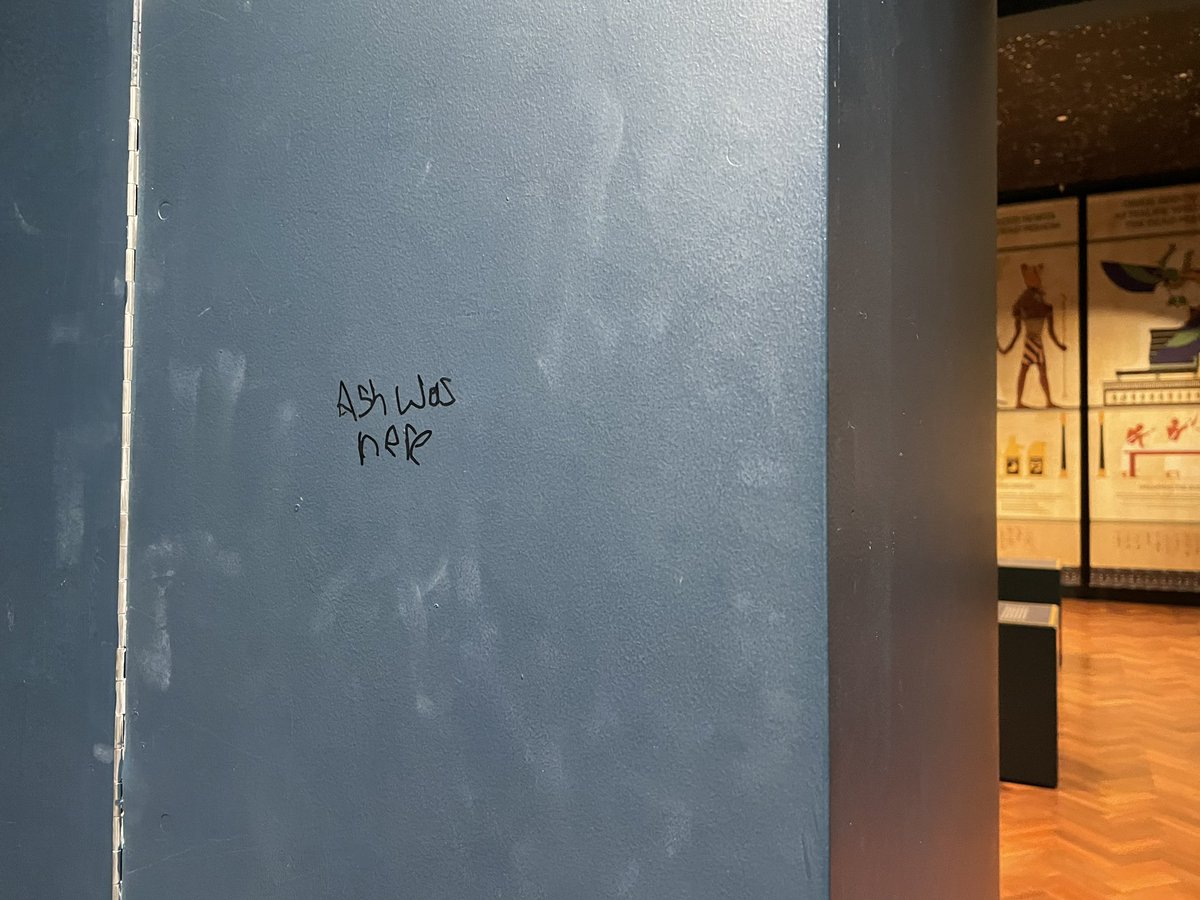 Museum Ian tweet media